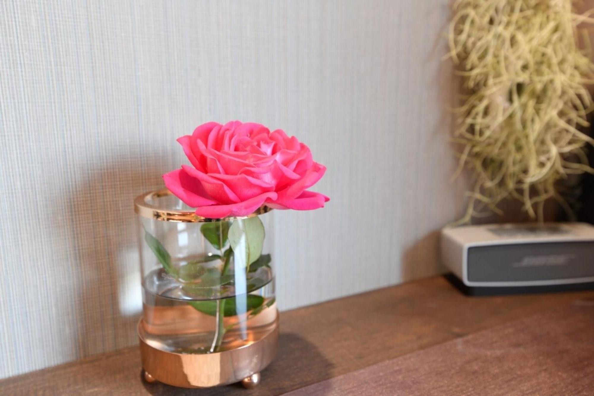 Hotel Tokyo Hub - Vacation Stay 27694V 외부 사진